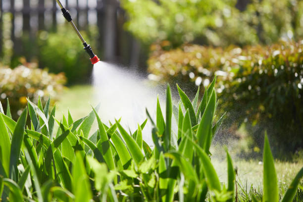 24/7 Emergency Wasp Removal experts in Krum, TX