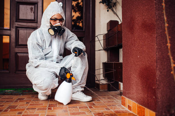 Reliable Wasp Removal contractor in Krum, TX by Show Me Pest Control